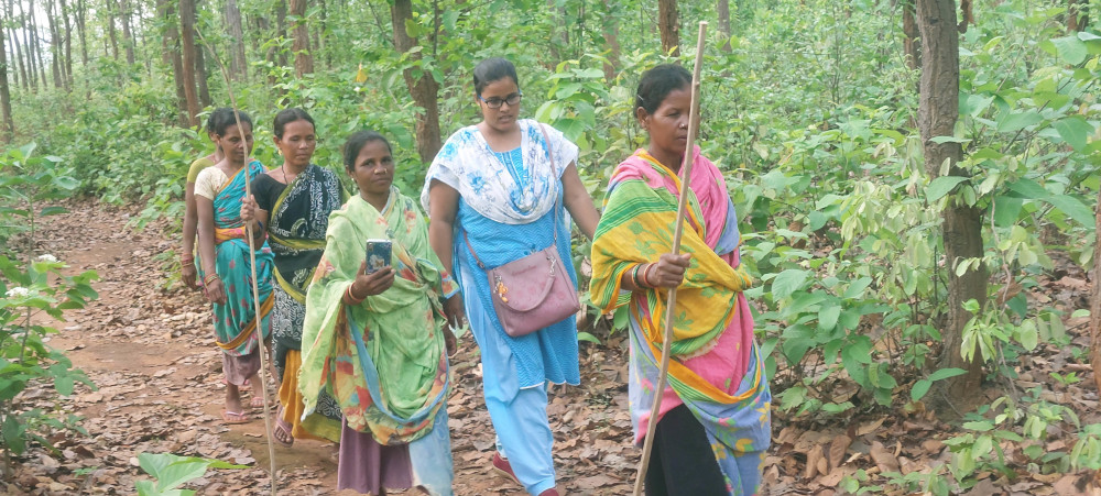 Women on a forest path, sticks and mobile phones in hand
