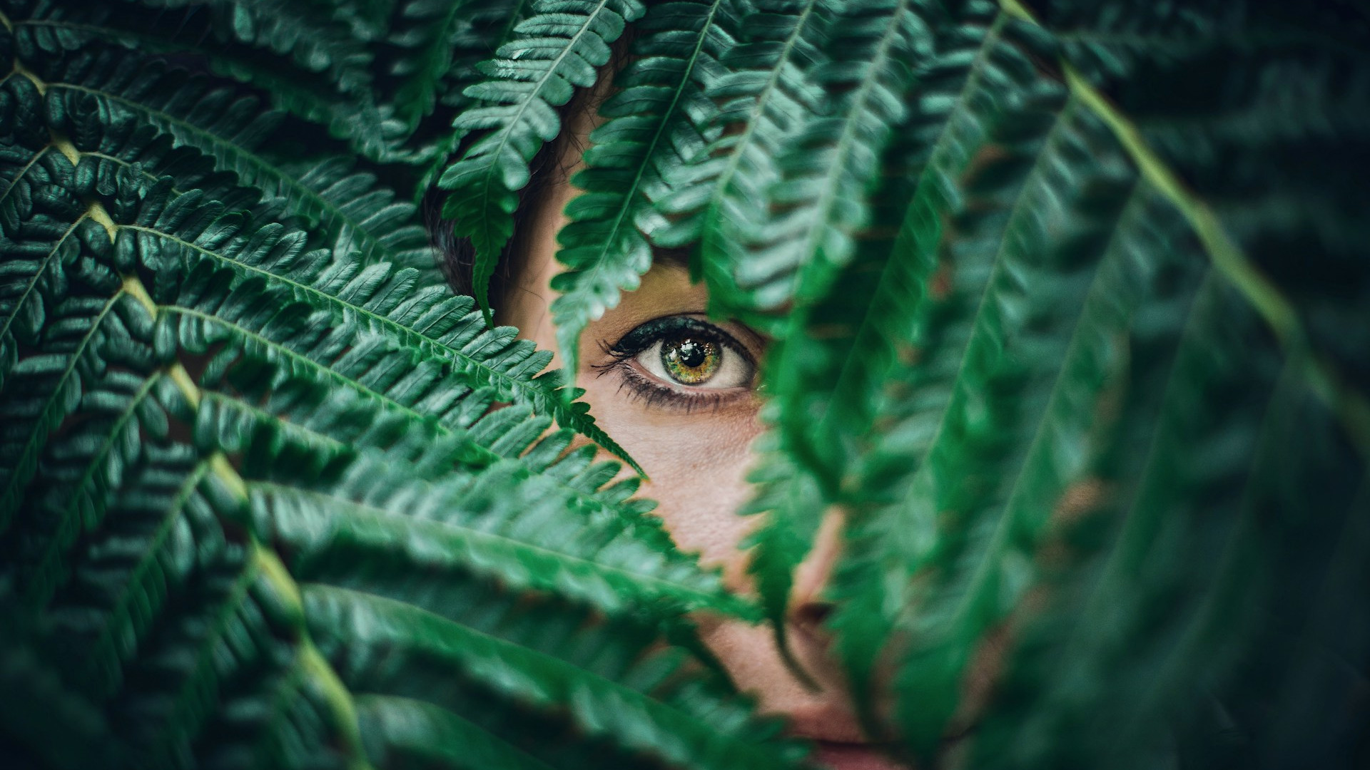 A woman's eyes amidst leaves