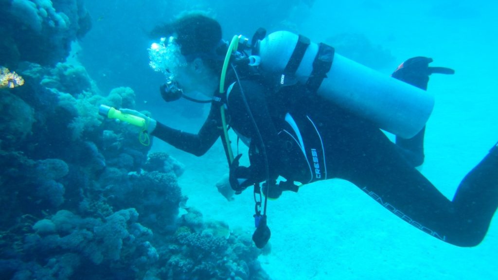 A Scuba diver looks into a coral ecosystem