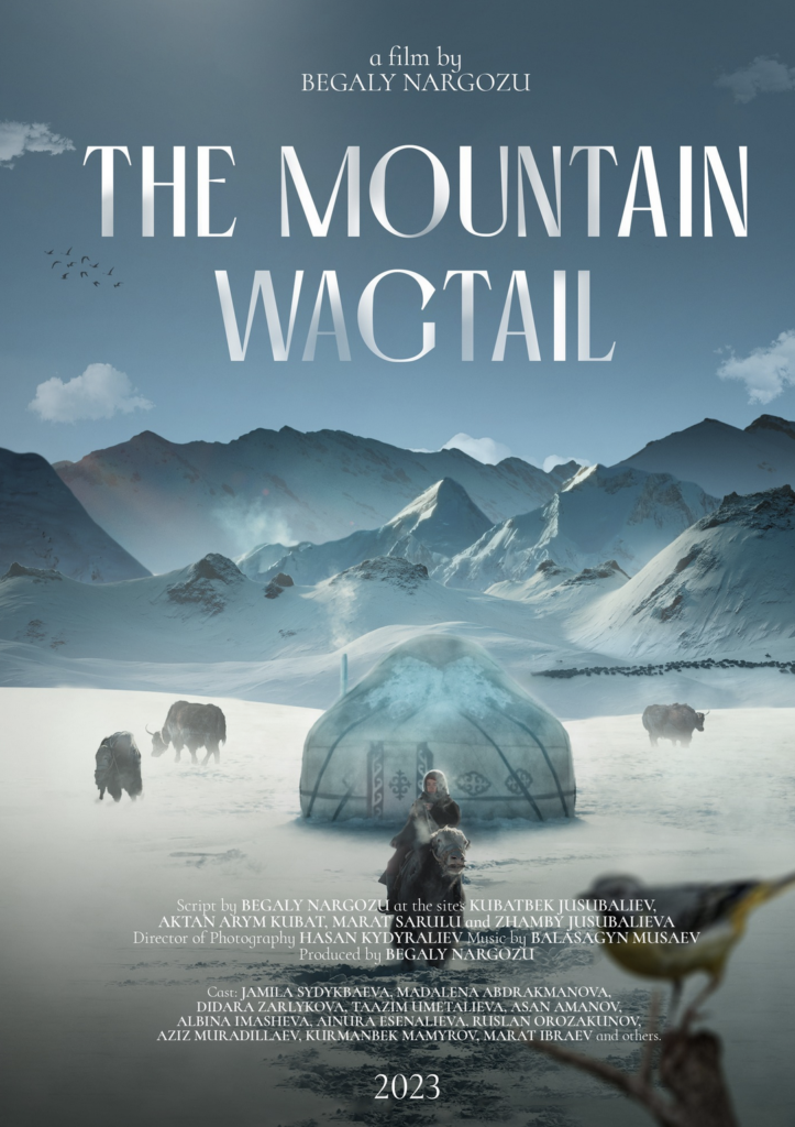 Official film poster for The Mountain Wagtail. 