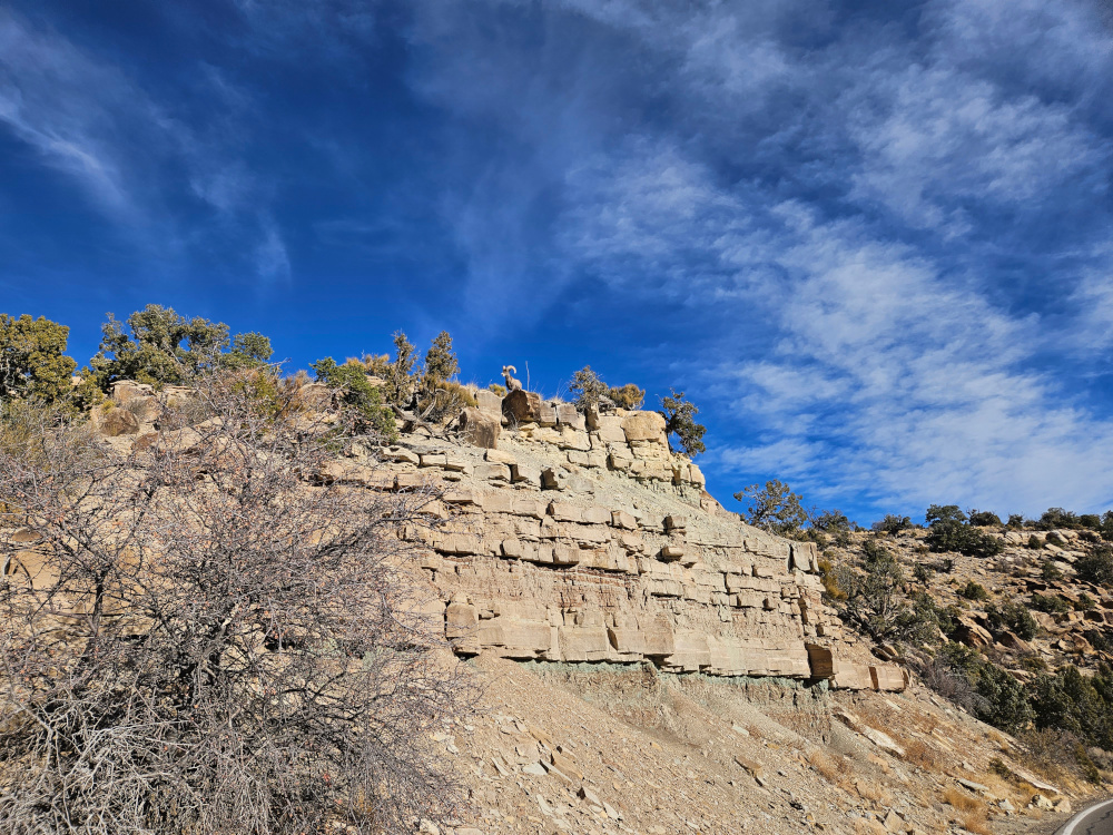 A rocky desert mountain viewed from a distance, a bighorn sheep barely visible on the top.