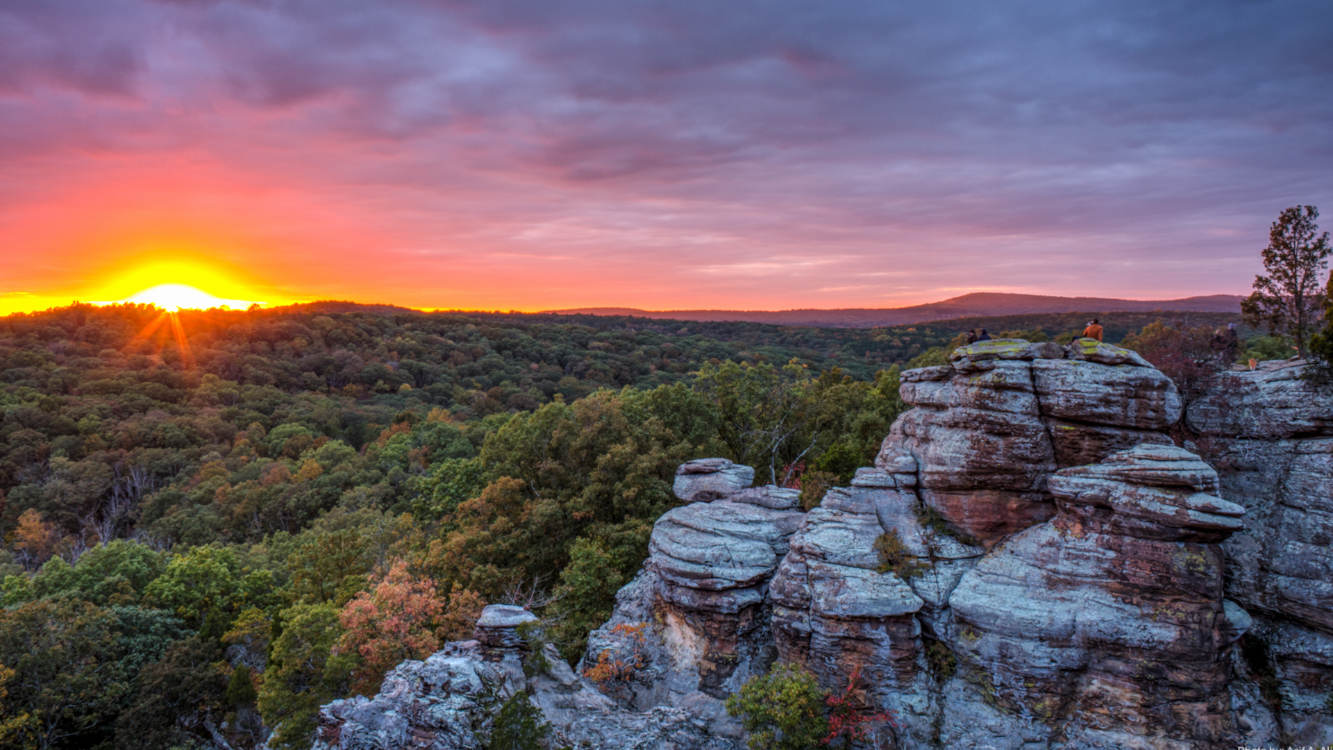 Antidote for Despair in the Shawnee National Forest