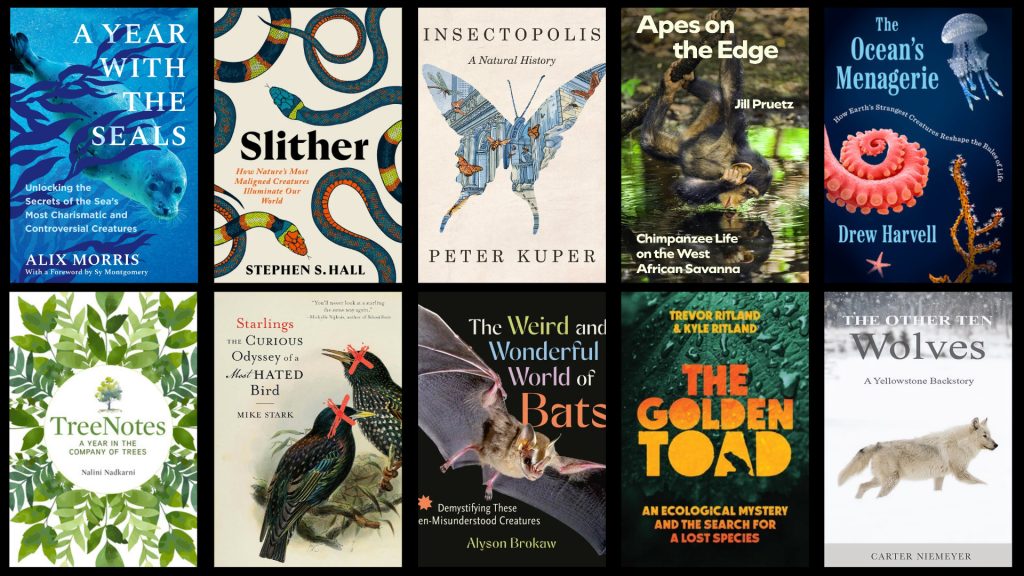 From chimpanzees and wolves to snakes and starlings, these new books capture hidden truths about fascinating species — and reveal how to better protect them.