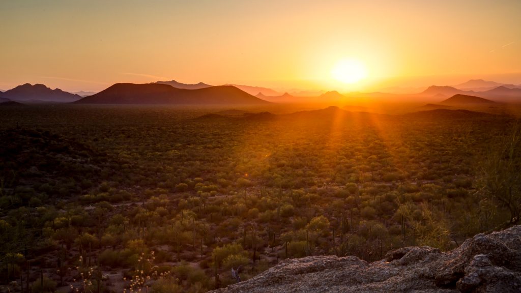 The environmental and legislative accomplishments of Stewart, Mo, and Tom Udall offer a roadmap for recovering from the damage of the Trump administration.