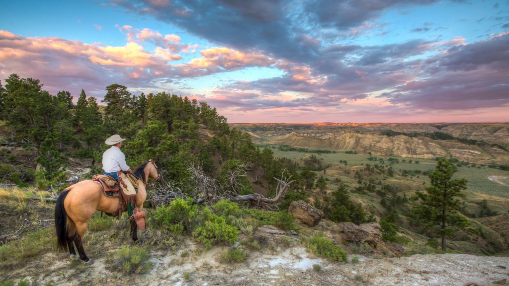 This widely popular regulation protects 58.5 million acres of national forests and 1,600 at-risk species. The Trump administration wants gut it.