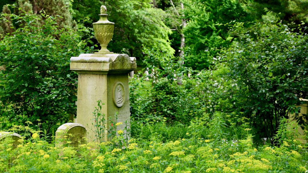 A grave marker sits in a field of green