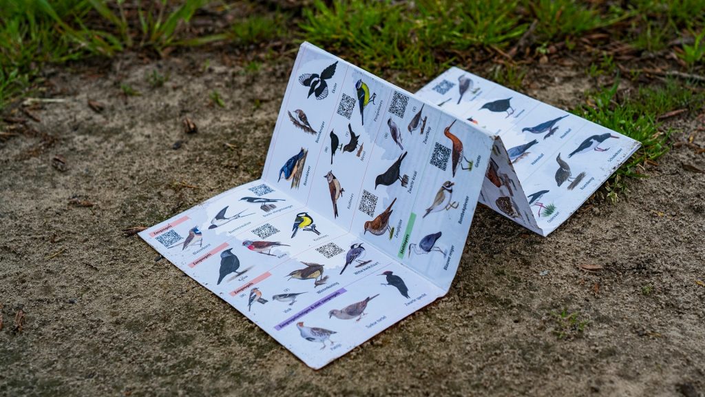 A folded birding guide on the ground