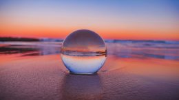 Conservation’s Hot Topics of 2026: From Artificial Intelligence to Mirror Molecules