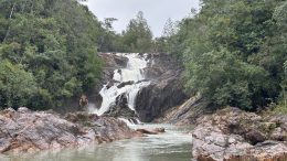 Protect This Place: Elijio Panti National Park, a Mayan Heritage Site in the Heart of Belize’s Rainforest