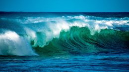 How to Transform 30×30 From a Political Slogan Into an Ecological Reality