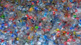 Reducing Plastic Waste: Three Ways to Replace Disposable with Reusable