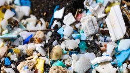 Using Art to Connect Us to the Microplastic Within