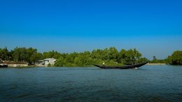 Before Blue Carbon: Rethinking Carbon Dreams and Closed Forests in the Sundarbans
