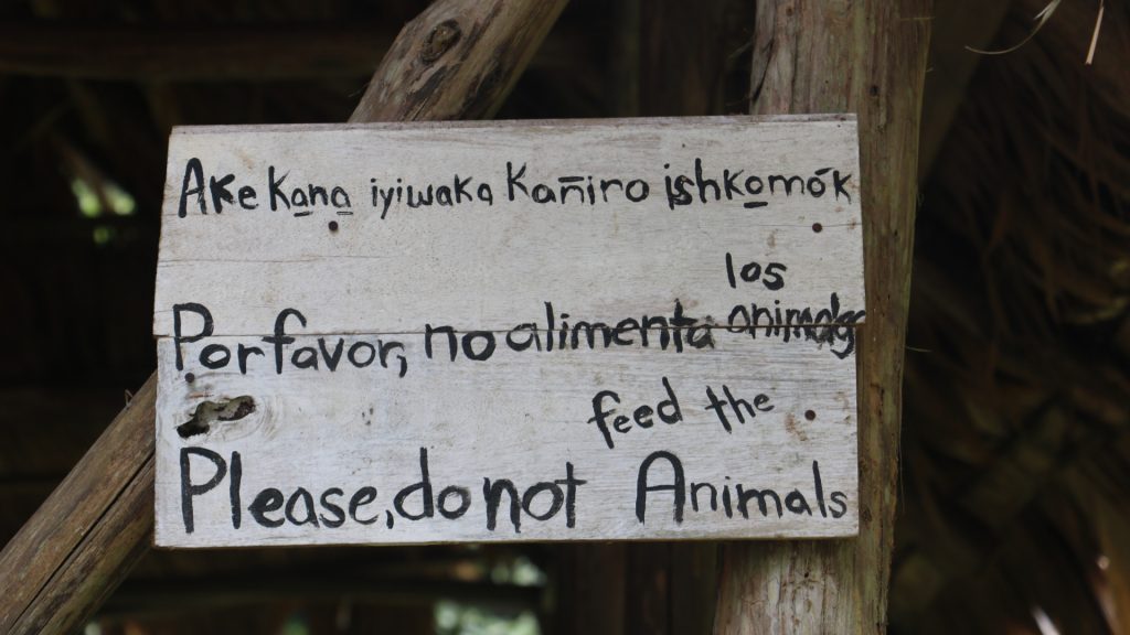 More than 2,000 Indigenous languages are at risk of disappearing this century — and with them we could lose vitally important traditional ecological knowledge.