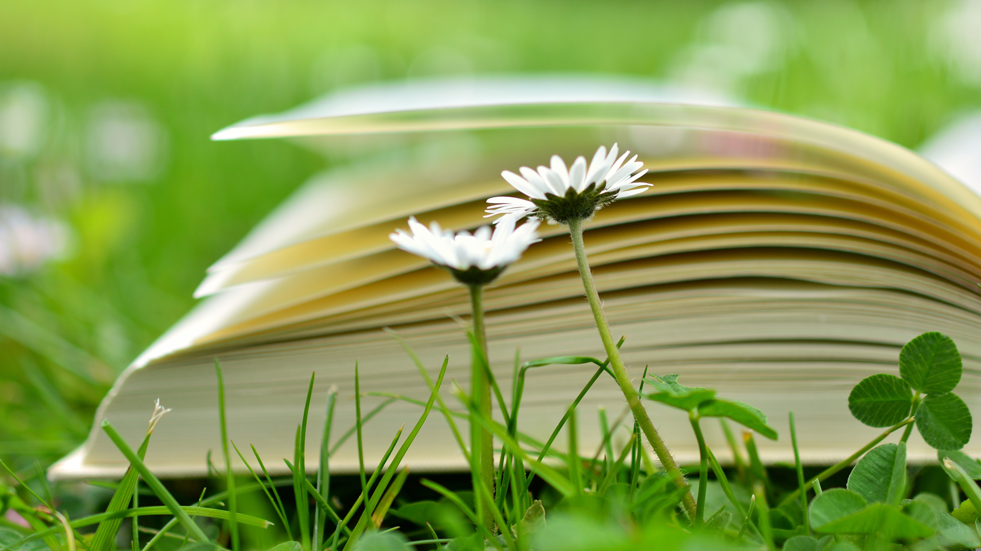 Summer2026 Q2 Reads
