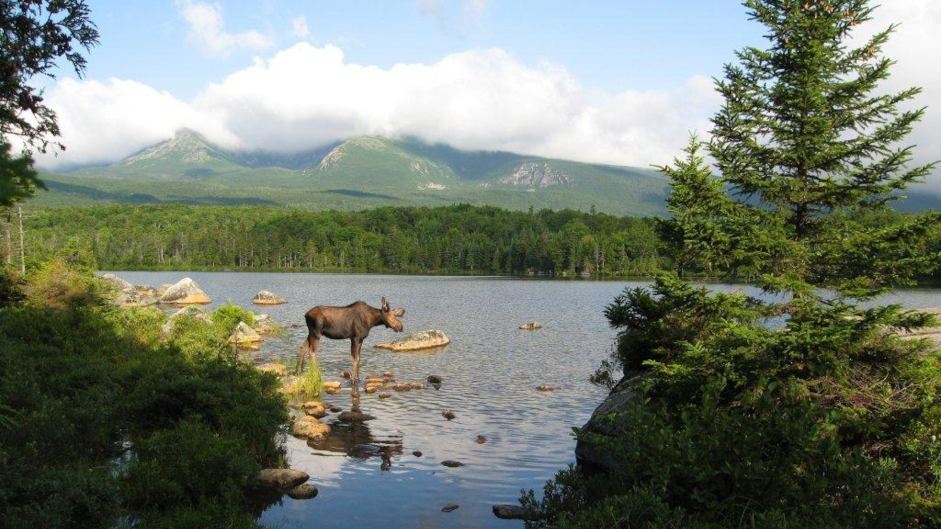 andy Stream Pond in Baxter State Park, Maine