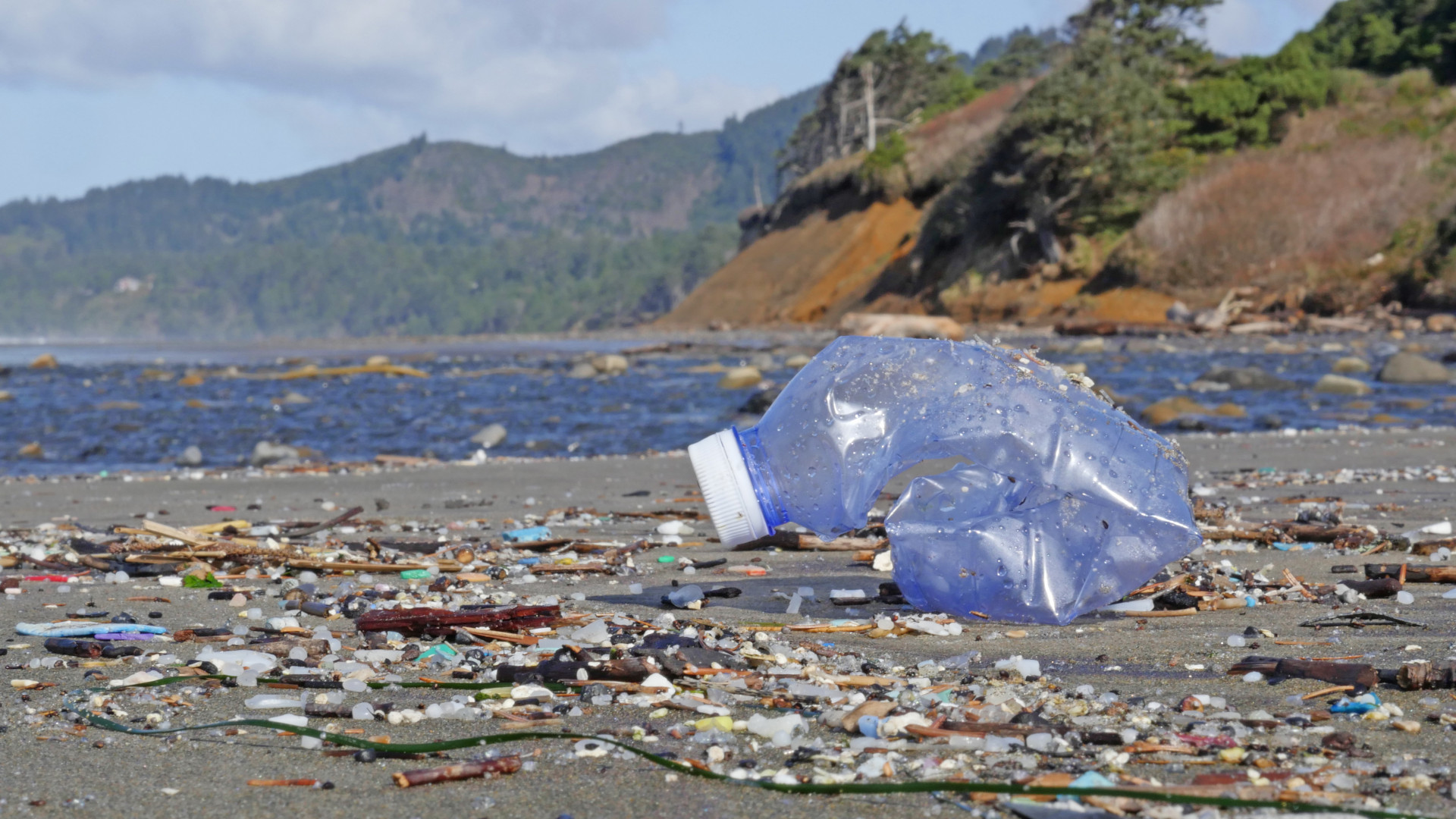 beverly_beach_plastic_debris009tw Tiffany Woods Oregon Sea Grant